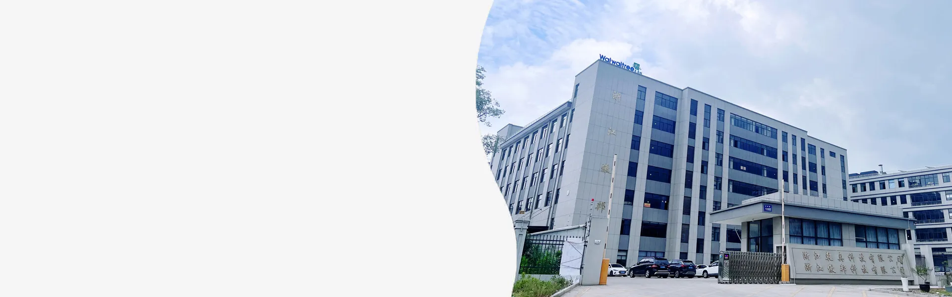 Company Profile